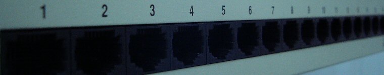 links.jpg
